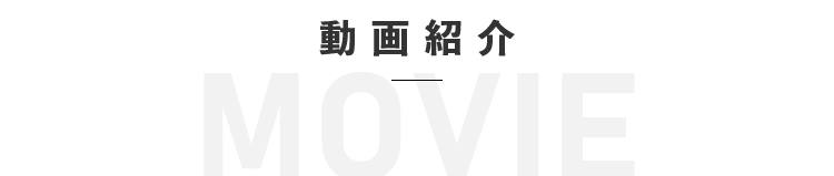 動画紹介